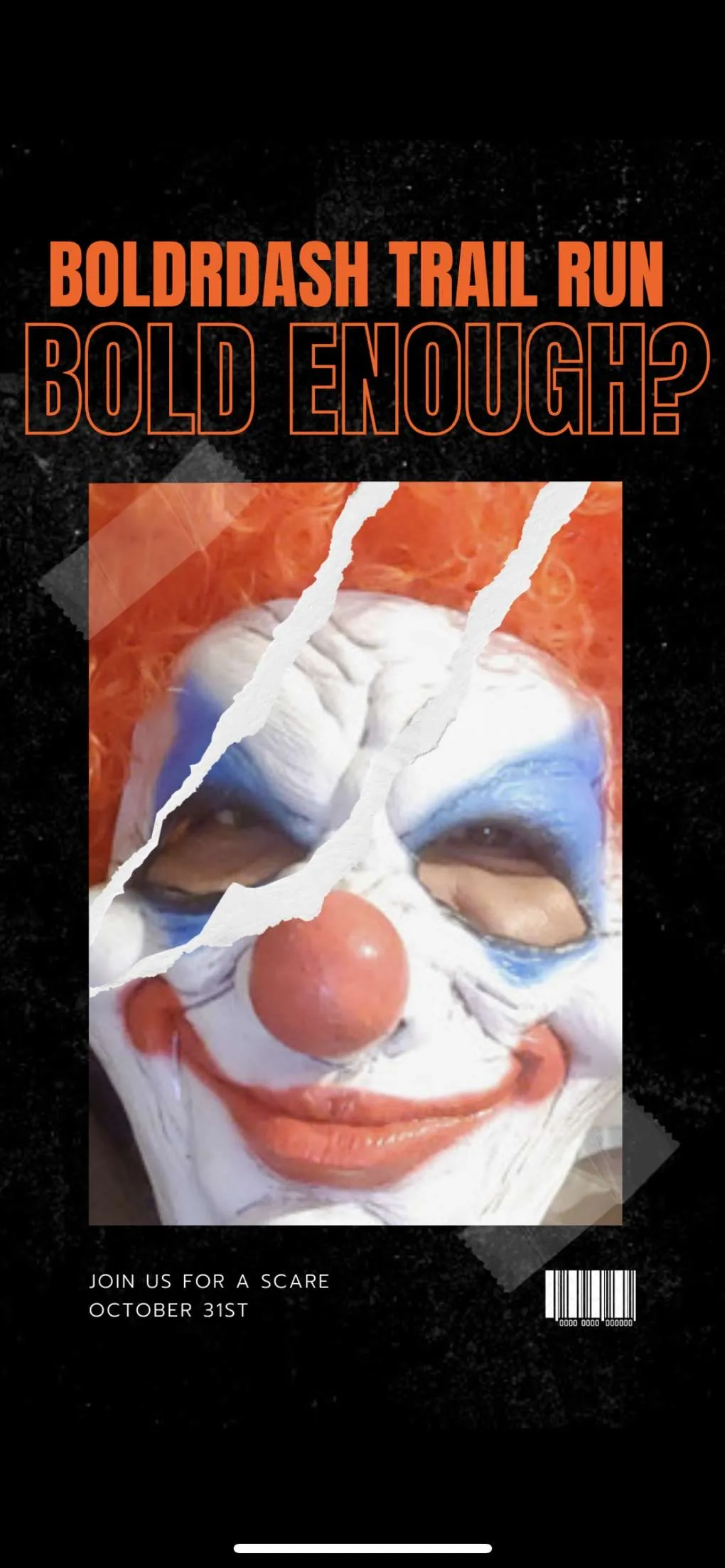 Boldr Dash brand content showcase